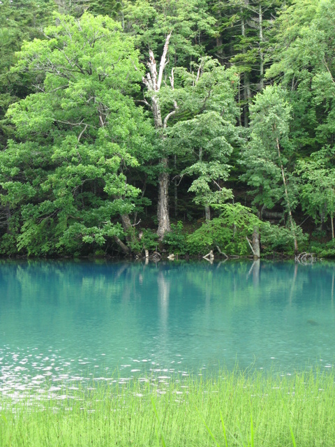緑の湖